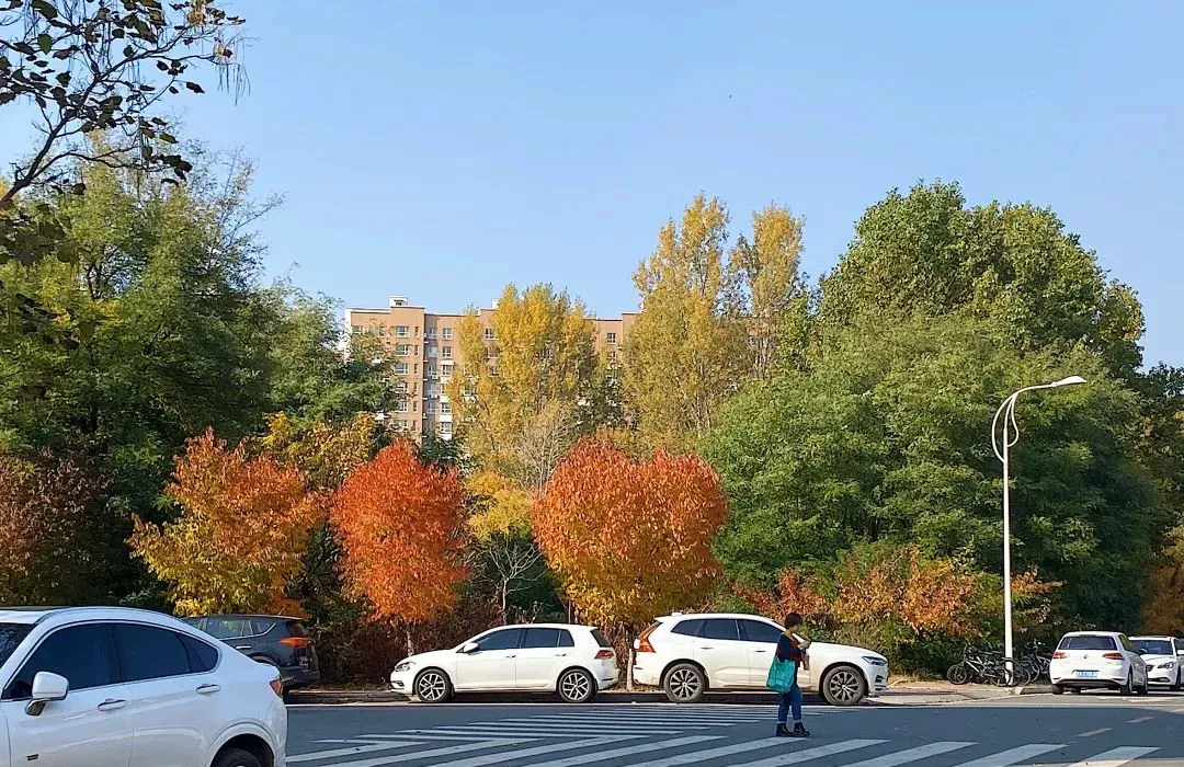 _1